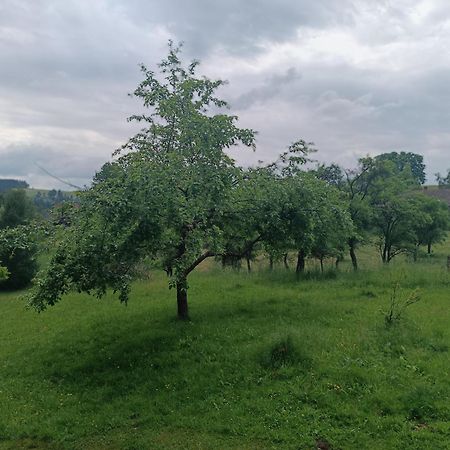 Chalupa U Kuby Vysoke nad Jizerou Luaran gambar