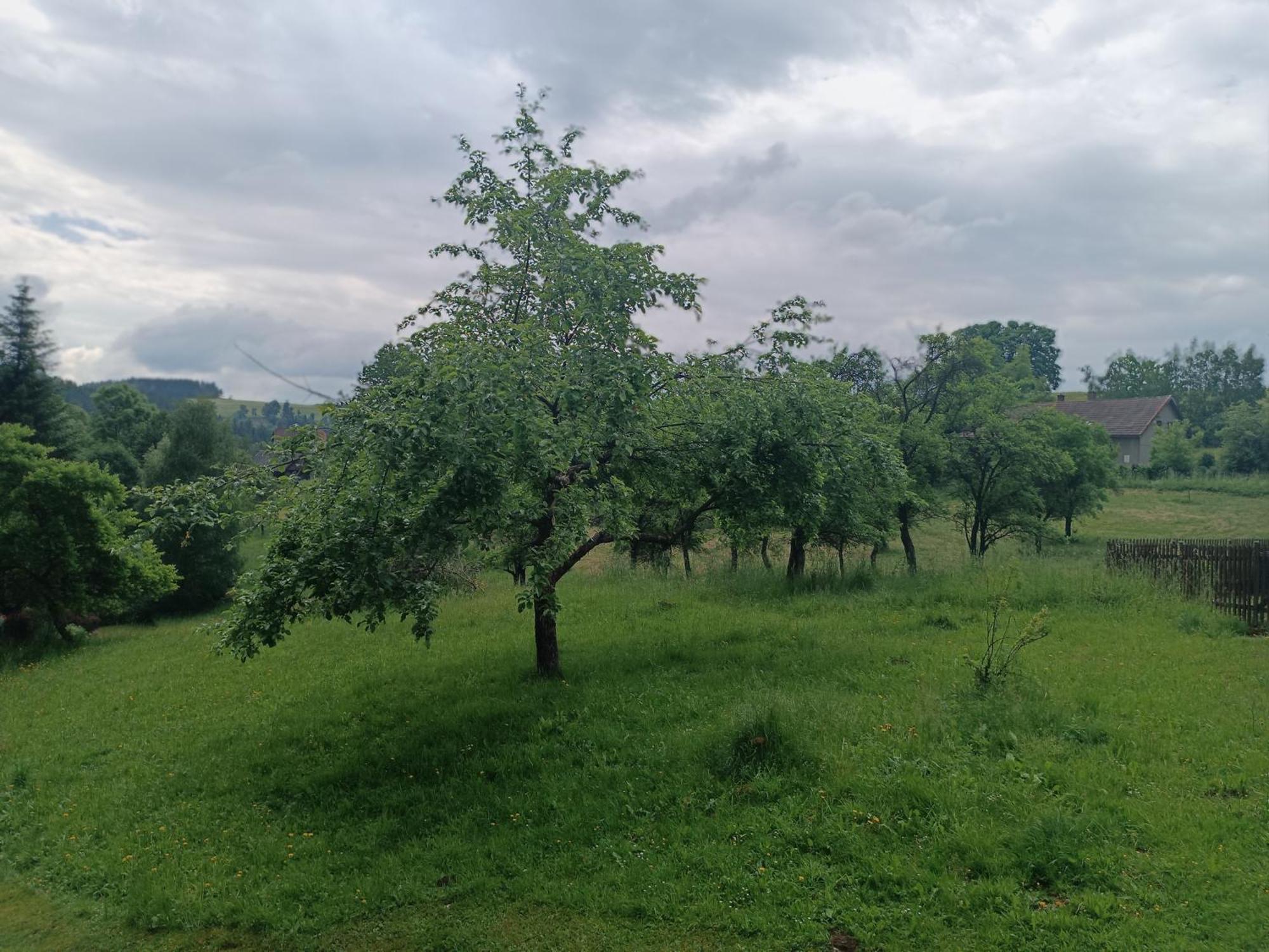 Chalupa U Kuby Vysoke nad Jizerou Luaran gambar